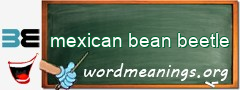 WordMeaning blackboard for mexican bean beetle
